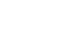 Open over Gokken – Netherlands at Wildroyal Casino